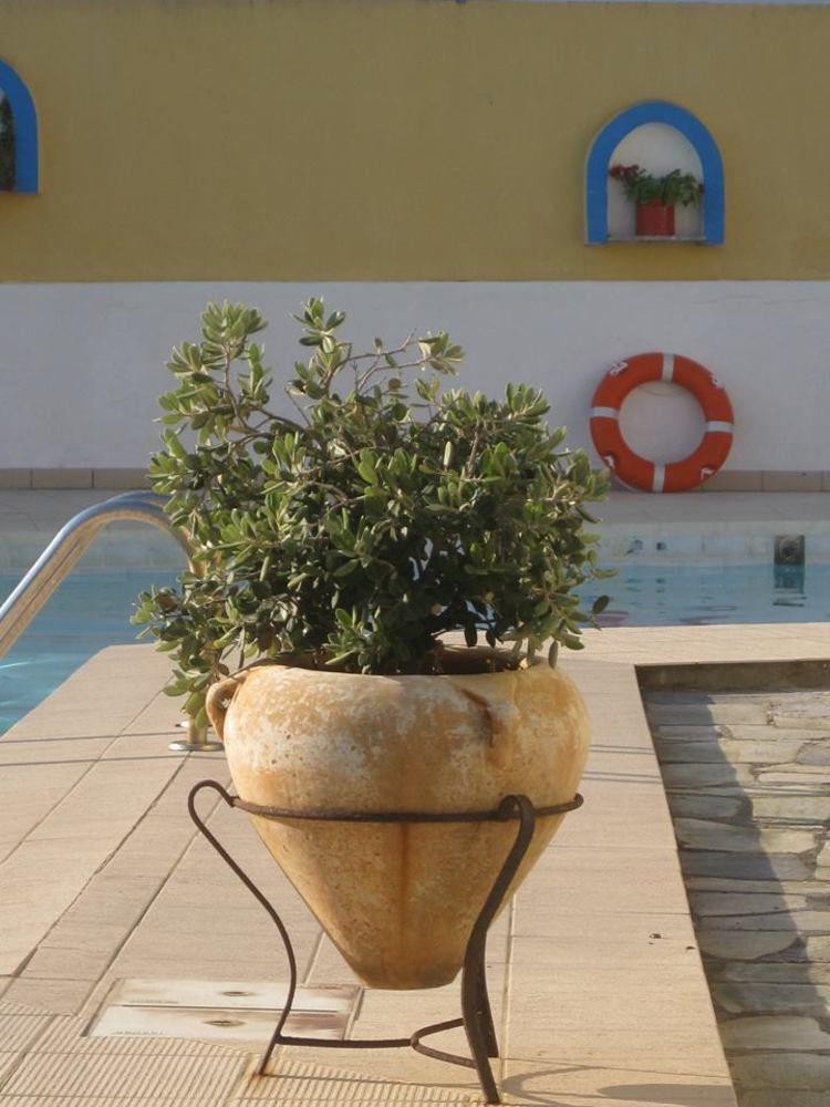 Mandrákion Porfyris Hotel מראה חיצוני תמונה